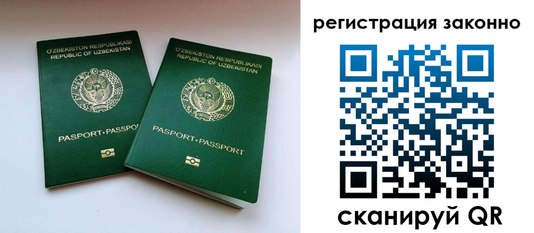 прописка гарантия в Волгодонске
